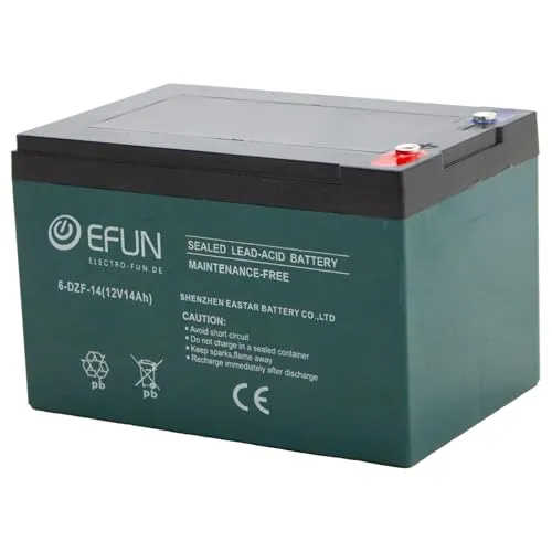 Akku 6-DZF-14, 12 Volt 14 Ah für Elektrofahrzeuge - Batterie 14Ah, wartungsfrei und umweltfreundlich, ideal für Elektrofahrzeuge, Golfwagen und Elektroroller mit hoher Energiedichte und langer Lebensdauer von über 700 Zyklen.