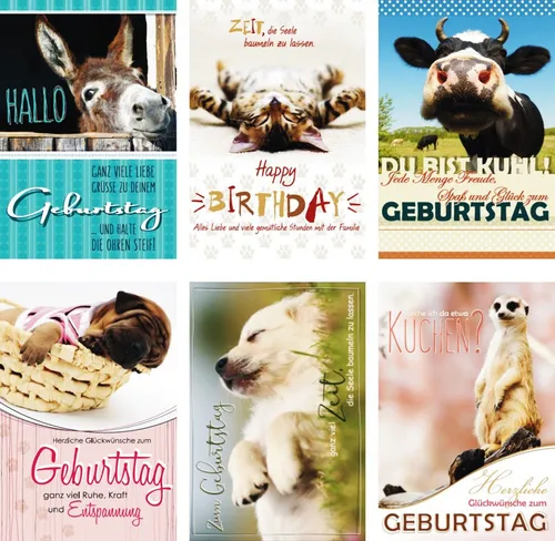 Glückwunschkarten zum Geburtstag Tiere 51-5402 Geburtstagskarte Grußkarte 100