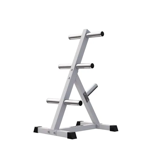 GORILLA SPORTS® Hantelscheibenständer mit 7 Aufnahmen - bis 350 kg belastbar - Robuster Hantelscheibenständer aus Stahlrohr mit edler Lackierung. Platzsparend und ideal für Ihr Home Gym. Sicher und stabil dank gummierter Füße. Einfach zu montieren und zu nutzen.