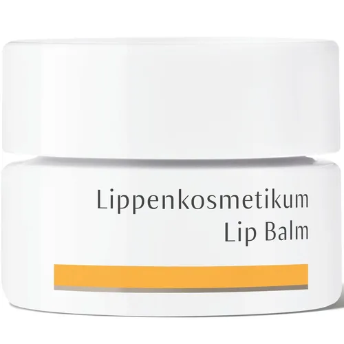 Dr. Hauschka® Lippenkosmetikum