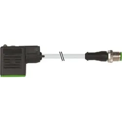 Murrelektronik M12-Stecker 7000-40961-2160200 Sensor-Aktor-Kabel M12-Stecker