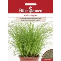 Dürr Samen Katzengras Saatgut