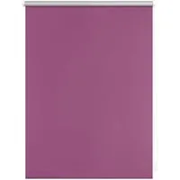 LICHTBLICK Thermo-Rollo Klemmfi, Fuchsia, 65x150 cm