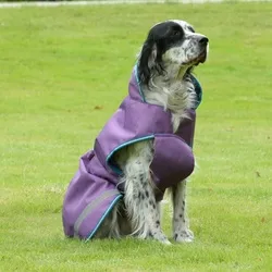 Bucas Freedom Dog Rug 50g, 45 - Sonstiger Hundebedarf, atmungsaktive und wasserdichte Hundedecke mit 50g Füllung für optimalen Wetterschutz und Komfort, ideal für Spaziergänge bei schlechtem Wetter.