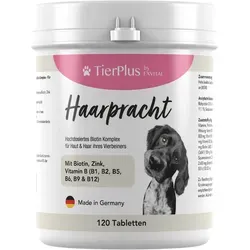 EXVital Haarpracht Tabletten - hochdosiertes Biotin Komplex 180 g, fördert gesundes Fell und Haut bei Hunden