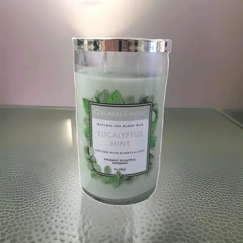 Duftkerze Eukalyptus-Minze - Entspannen Sie mit der Duftkerze Eukalyptus-Minze aus natürlichem Sojawachs. Zwei Baumwolldochte sorgen für ein gleichmäßiges Abbrennen und eine Brenndauer von ca. 90 Stunden.