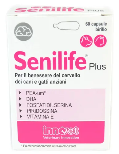 Senilife Plus 60 Kapseln Birillo Innovet