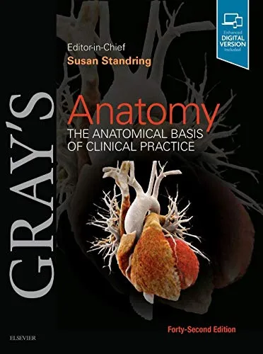 Gray's Anatomy: The Anatomical Basis of Clinical Practice - Medizin-Buch, umfassendes Nachschlagewerk für Anatomie mit detaillierten Illustrationen und klinischen Anwendungen.