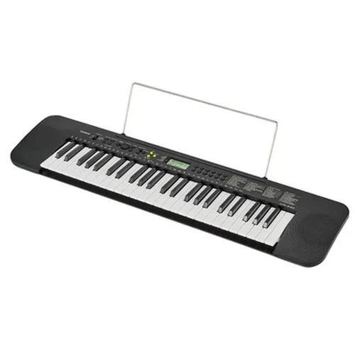 Casio CTK-240 - 49-Tasten Keyboard, 100 Klangfarben und Rhythmen für kreative Musikstunden