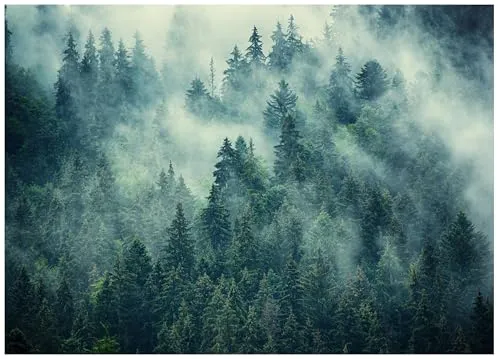 Fototapete Wald im Nebel Bäume Natur Grün 200x140 cm - inkl. Kleister - für Wohnzimmer Schlafzimmer Flur Modern Vlies Tapete Vliestapete Wandtapete Motivtapeten UV-Beständig