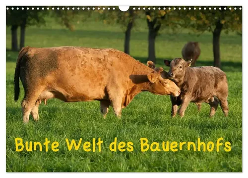 Angela Münzel-Hashish - Www. Tierphotografie. Com | Bunte Welt des Bauernhofs...