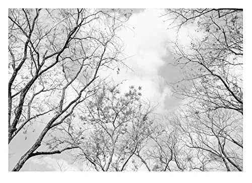 Fototapete Baumkronen Wald 3D EFFEKT schwarz weiß Baum Himmel 400x280 cm - inkl. Kleister - für Wohnzimmer Schlafzimmer Flur Modern Vlies Tapete Vliestapete Wandtapete Motivtapeten UV-Beständig