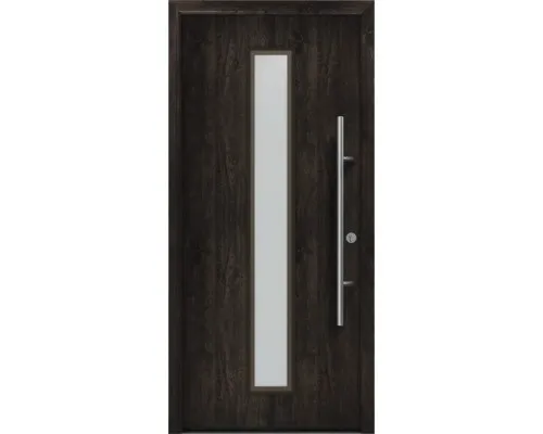 Haustür EcoStar ISOPRO Secur IPS 020S 1100 x 2100 mm Rechts night oak inkl. Besc