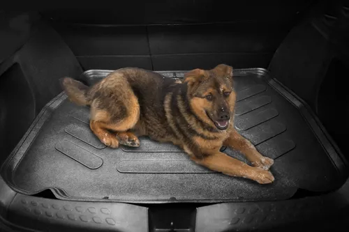 Trimak Kofferraumwanne kompatibel mit Mitsubishi ASX 1.Gen 2010-2022 Kofferraummatte