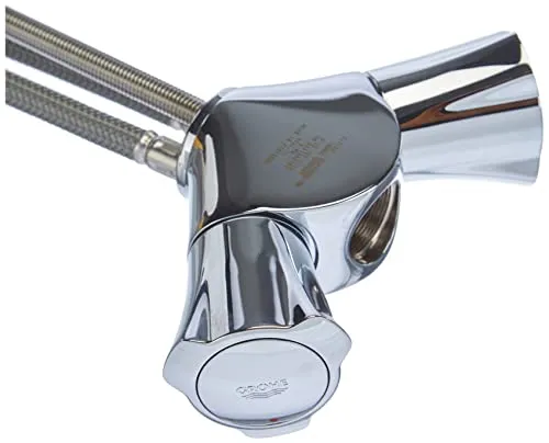 GROHE Costa Küchenarmaturen - Spültisch-Einlochbatterie DN 15, schwenkbarer Auslauf für maximalen Komfort bei der Nutzung von zwei Becken, chrom