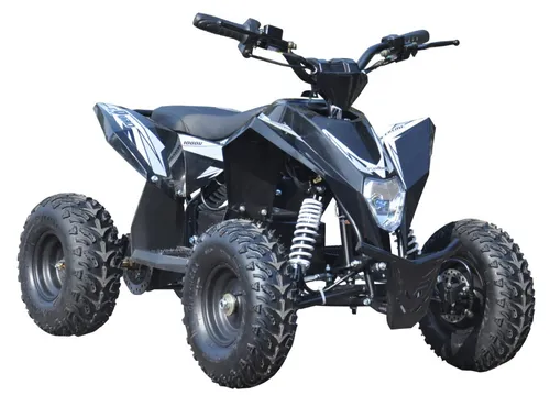 Kinder Quad Elektro ATV 36V 1000W - Miniquad für Abenteuer - Pocket Bikes - Leistungsstarkes Elektroquad mit 1000W Motor, ideal für Kinder ab 5 Jahren. Sicher und wetterfest, mit LED-Beleuchtung und Offroad-Reifen für unvergessliche Fahrten.