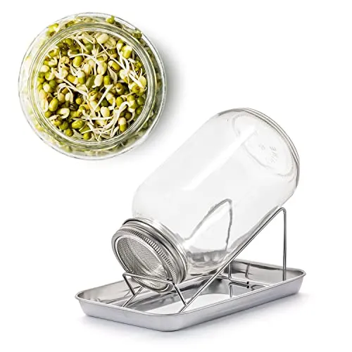 BigDean Sprossenglas Set 1000ml mit Edelstahl-Gitterdeckel - Ideal für die Sprossenzucht: Unser Set enthält ein Sprossenglas mit Edelstahl-Deckel und Ständer. Einfach in der Anwendung und perfekt für gesunde Sprossen wie Sojasprossen oder Mungobohnen. Spülmaschinenfest für einfache Reinigung.