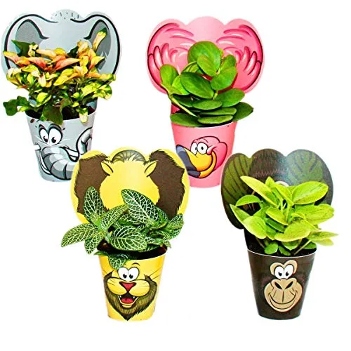 Exotenherz lustiges Zimmerpflanzen Set Animals 4 Pflanzen mit Tieren ideal als Gastgeschenk für Kindergeburtstage