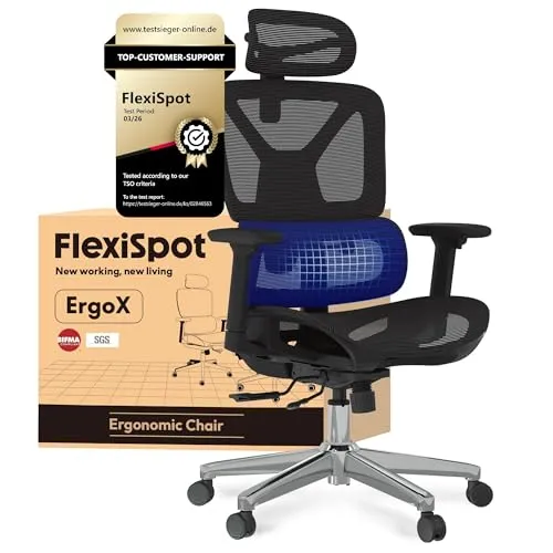 FLEXISPOT Ergonomischer Bürostuhl Schreibtischstuhl, 3D-Armlehnen, 3D-Kopfstütze, 5D-verstellbare Rückenlehne, Atmungsaktiver Sitz Belastbar bis 136 kg Arbeitsstuhl, ErgoX, Schwarz