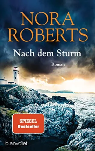 Nach dem Sturm: Roman - Der Bestseller jetzt als Taschenbuch