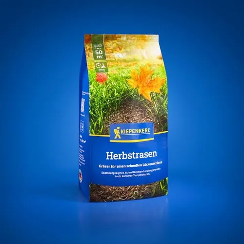 Kiepenkerl Profi-Line Herbstrasen 1085282 - schnellkeimend - für kühle Temperaturen - für Spätsaat und Rasenteppich - 1Kg für 30 m² - Rasensamen, Rasensaat