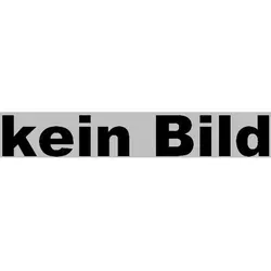 RENZ Unterputzbriefkasten - gebürstet - Edelstahl-Briefkasten mit Putzabdeckrahmen, ideal für eine elegante und moderne Hausgestaltung. Einwurfgröße 335 x 33 mm, inklusive 2 Schlüssel und entspricht der EN13724 Norm.