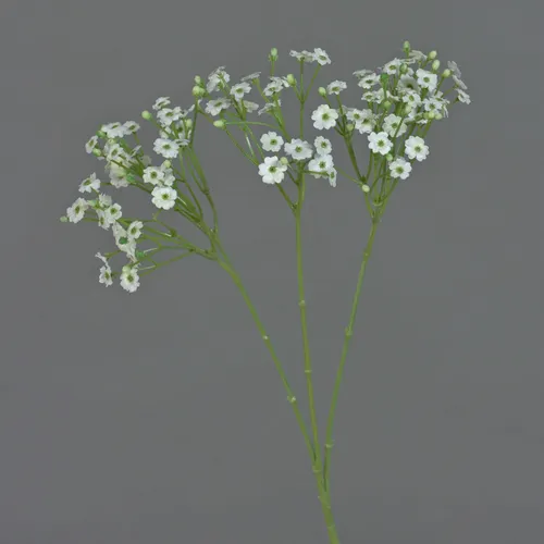 artplants Dekozweig Schleierkraut SIKINOS, weiß, 65cm