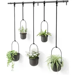Umbra Triflora Vase - Hängeblumentopf für Wand- und Deckenanbringung - Garten-Zubehör mit 5 höhenverstellbaren Übertöpfen, ideal für Fensteranbringung, spart Platz und ist perfekt für Zimmerpflanzen und Kräuter.