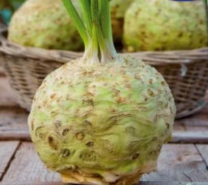 Stk - 20x Knollensellerie Goliath - Kohl sonstiger Samen Gemüse Garten KS383 - Seeds & Plants Shop by Ipsa