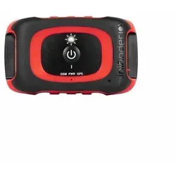 Rex 4G Dog Pointer when Hunting