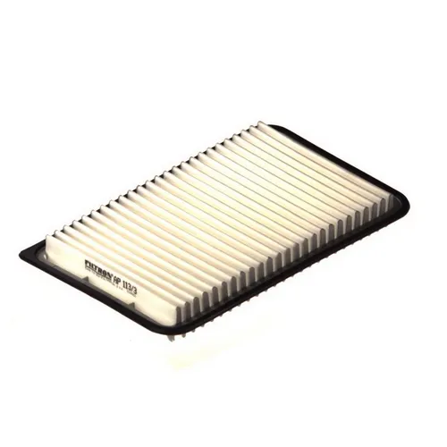 Filtron Luftfilter AP 113/3