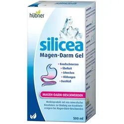 Hübner Silicea Magen-Darm Gel 500ml