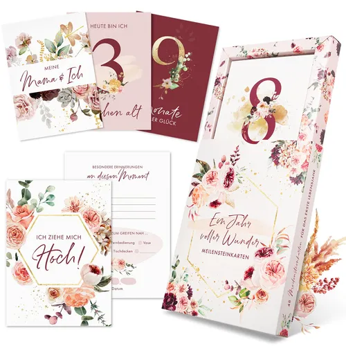 EULENTALER® Meilensteinkarten Baby I Von Pädagogen gestaltet I Meilensteinkarte Set als Geschenk zur Geburt I 48 Karten Inkl. Geschenkbox für Mädchen I Mein erstes Jahr mit allen Meilensteinen