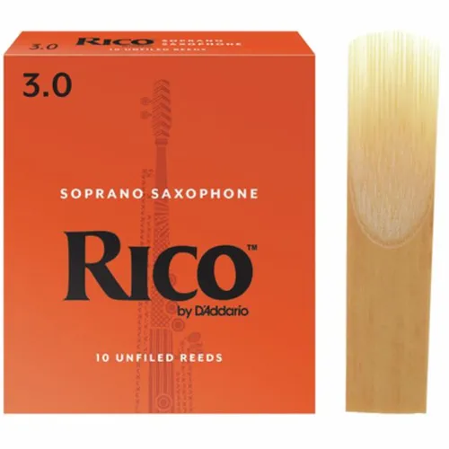 Rico Soprano Saxophone 3.0