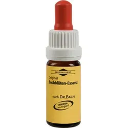 Original BACHBLüTEN Murnauer Tropfen Water Violet 20 ml