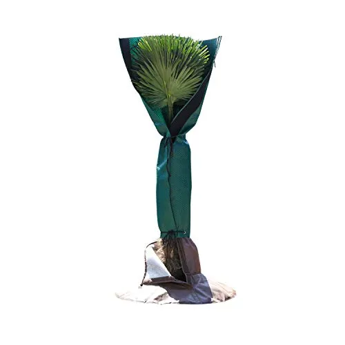 Bio Green Stammschutz für Palmen und Bäume - Abdeckplanen für den idealen Winterschutz, atmungsaktiver Vliesmantel schützt vor Wind, Regen und Frost, für Stämme bis Ø 35 cm und 150 cm hoch.