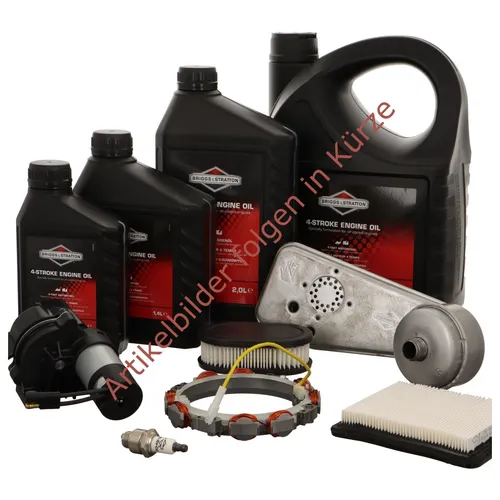 Briggs u. Stratton OELABLASSTOPFEN  | 691686 | 024847237245