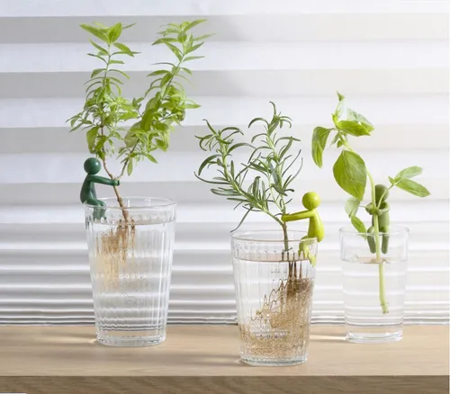 Leafriend Anzuchthelfer 3-er Set