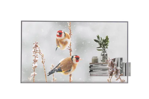 LG 55EW5P-M OLED Signage 55 Zoll - Monitore: Transparentes OLED-Display mit 600 cd/m² Helligkeit und Touchscreen-Funktion, ideal für interaktive Anwendungen und beeindruckende visuelle Erlebnisse.