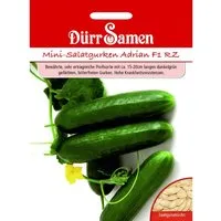 Dürr Samen Mini-Gurken Adrian F1 Rz Saatgut