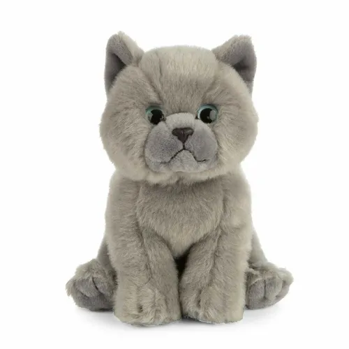 Katze grau British Krzhaar Plüschtier Stofftier Kuscheltier H=16cm Living Nature