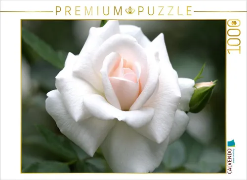 CALVENDO Puzzle Rose 'Gruß an Aachen' | 1000 Teile Lege-Größe 64x48cm Foto-Puzzl