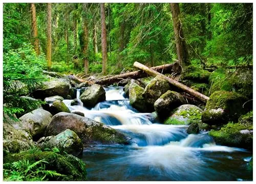 Fototapete Wasserfall mit Wald 3D Effekt Grün Natur 400x280 cm - inkl. Kleister - für Wohnzimmer Schlafzimmer Flur Modern Vlies Tapete Vliestapete Wandtapete Motivtapeten UV-Beständig