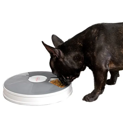 infactory Katzenfutterautomat: Zeitgesteuerter Futterspender für Hunde und Katzen - Automatisierter Futterspender mit LCD-Display, individuell einstellbarem Timer und leicht zu reinigenden Schalen - perfekt für die Fütterung, wenn niemand zu Hause ist.
