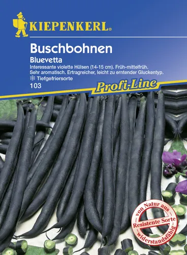 Kiepenkerl Buschbohne Bluevetta Phaseolus vulgaris var. nanus, Inhalt: ca. 8-10 lfd. Meter