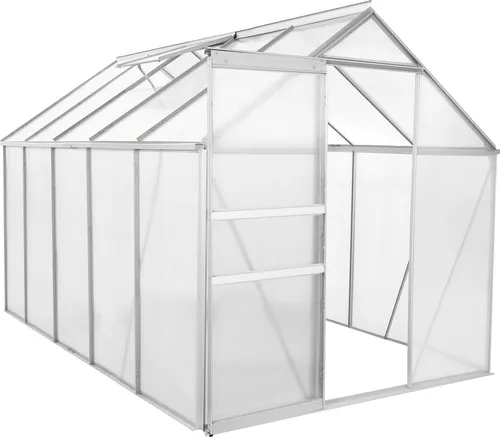 Zelsius Aluminium Gewächshaus 310 x 190 cm - Gartengewächshaus mit robustem Aluminiumrahmen und UV-beständigen 6 mm Platten, ideal für den Anbau von Gemüse und Kräutern, standfest bei jedem Wetter.