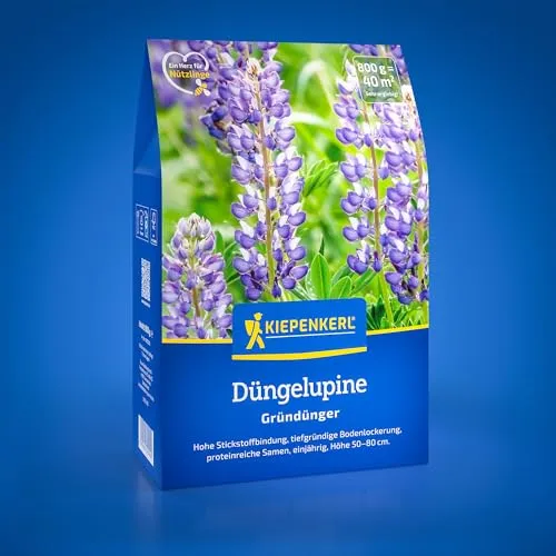 Kiepenkerl Düngelupine 1082000 – Gründüngungspflanze mit hoher Stickstoffbindung, proteinreiche Lupinensamen, 0,8 kg, ideal für Bodendüngung und Bodenfruchtbarkeit für 40 m²