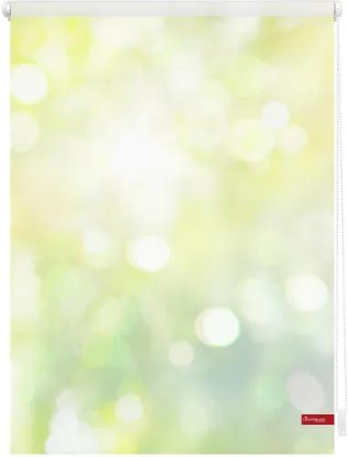 Lichtblick Rollo Klemmfix - Verdunkelung ohne Bohren, Lichtspiel in Grün Gelb 100 x 150 cm - Rollos für Sicht- und Blendschutz, einfach zu montieren ohne Bohren! Hochwertiger Digitaldruck mit 100% Verdunkelung, ideal für eine gemütliche Wohnatmosphäre.