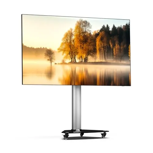 XTRARM Proton 100 mobiler TV Ständer Rollbar,Steckerleiste mit USB Anschluss, TV ca. 32-75 Zoll / 40 kg, Variable Höhe bis ca. 135 cm, Höhenverstellbarer Fernsehständer mit Rollen, Silber TV-Standfuss