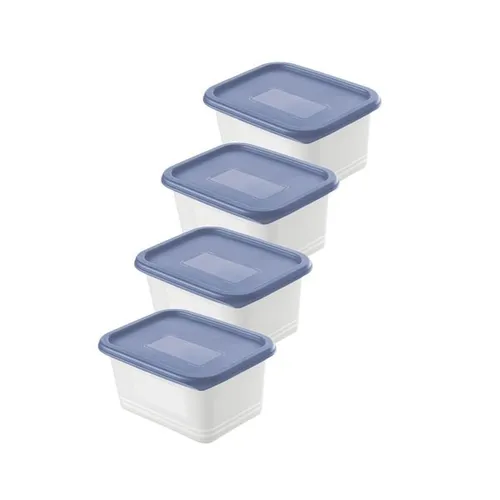 Rotho Gefrierdosen-Set Domino 4 x 0,75 l in Horizon Blau - Praktisches Set mit 4 gefriergeeigneten Dosen (0,75 l), ideal für die Aufbewahrung von Lebensmitteln. Sicherer Verschluss und stapelbar für platzsparende Lagerung.